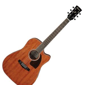 guitarra_takamine_maple